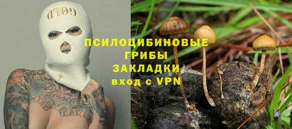 дмт Корсаков