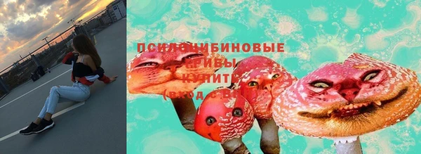 дмт Корсаков
