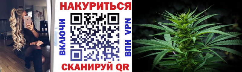Купить где Бородино Бошки марихуана индика